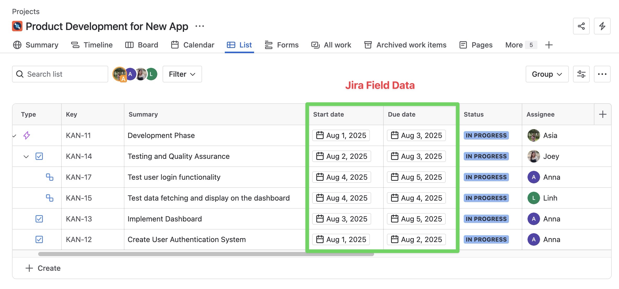 Jira Field Data .jpg