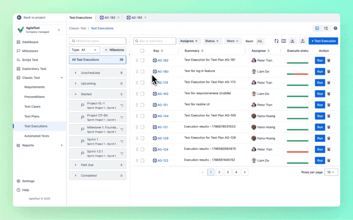 4. Detailed Excution report.gif