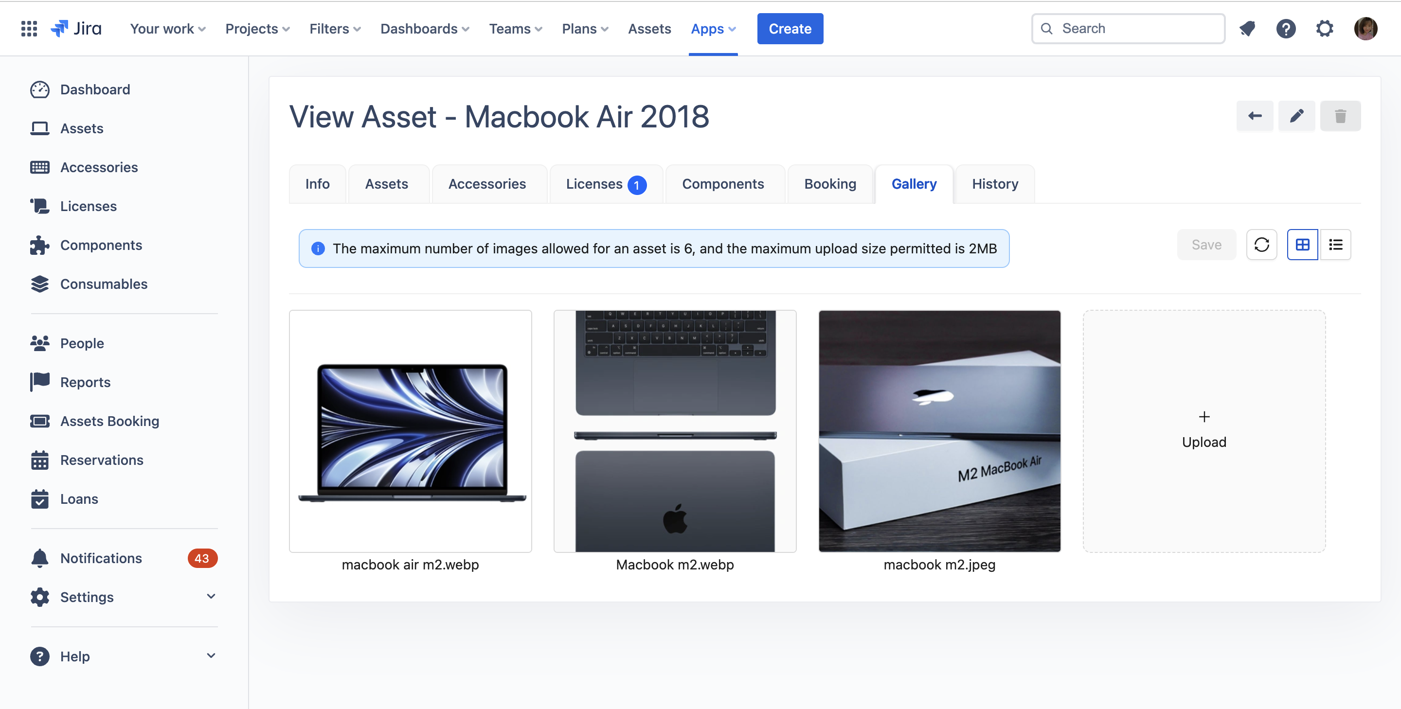 Asset Gallery.png